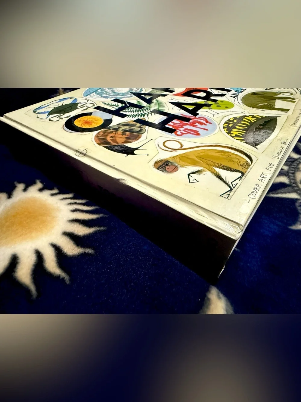 Charley Harper An Illustrated Life Todd Oldham Giant Art Book Biology Nature